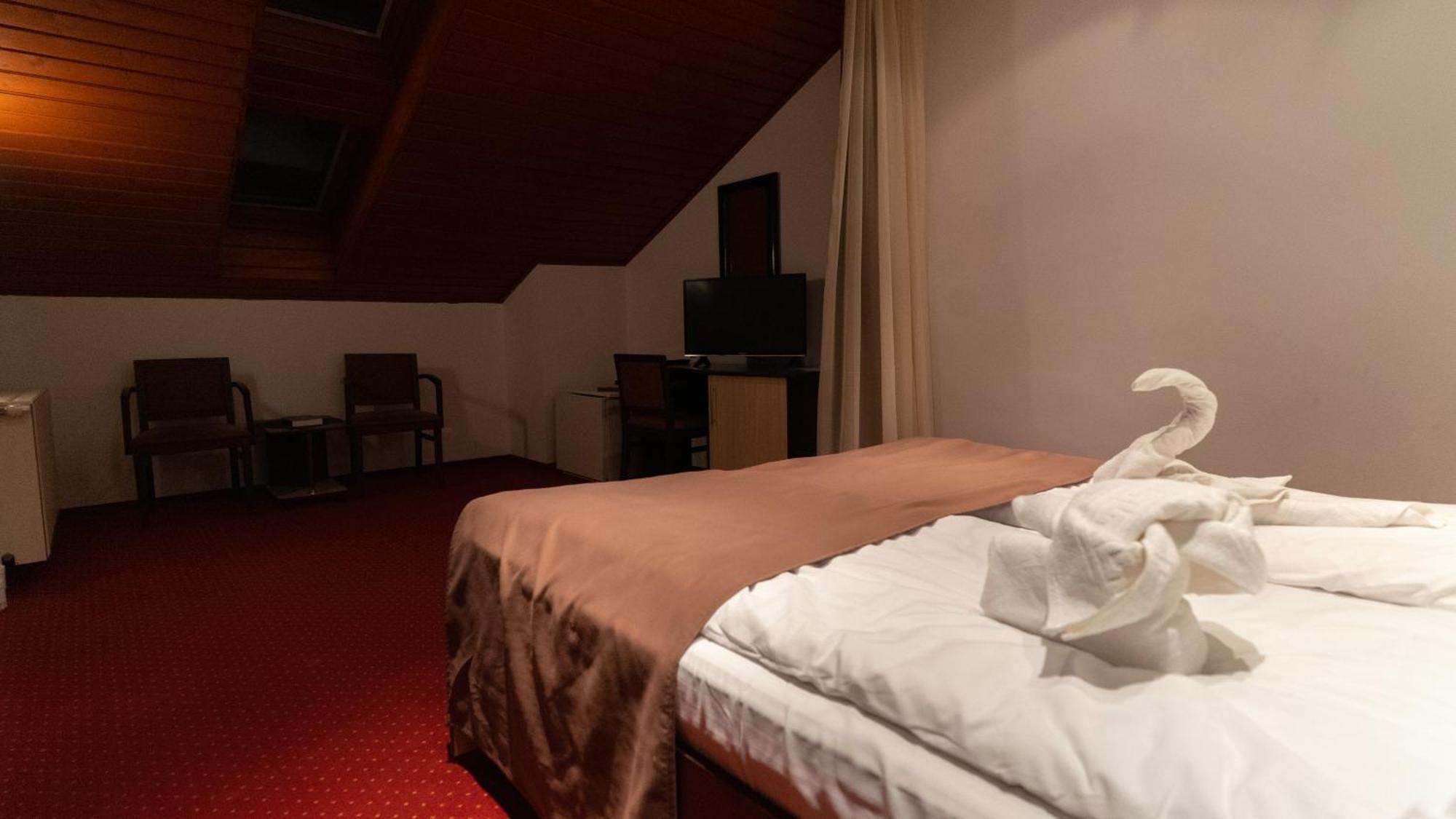 Vila Trandafirul Si Liliacul Hotel Caciulata Ngoại thất bức ảnh